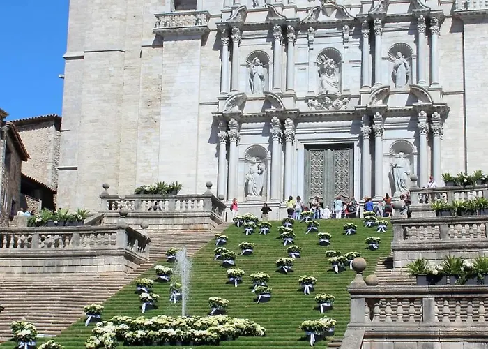 Sistach * خيرونا